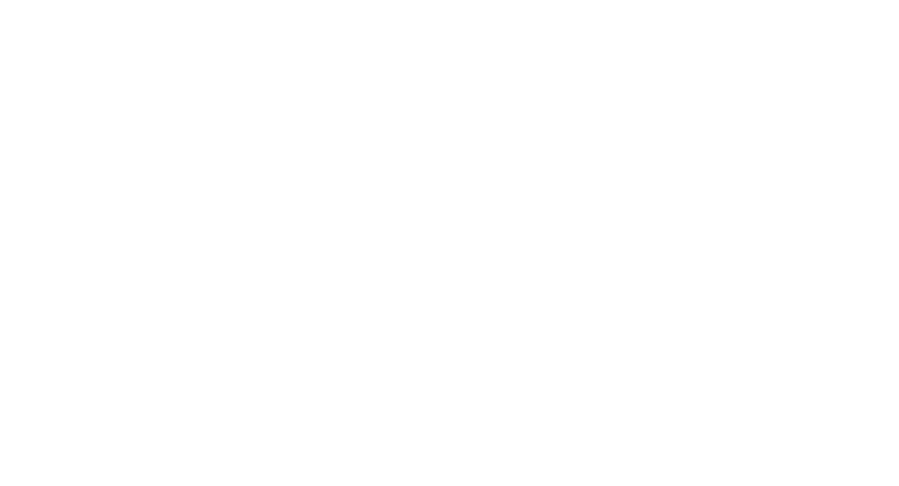 H Seguridad